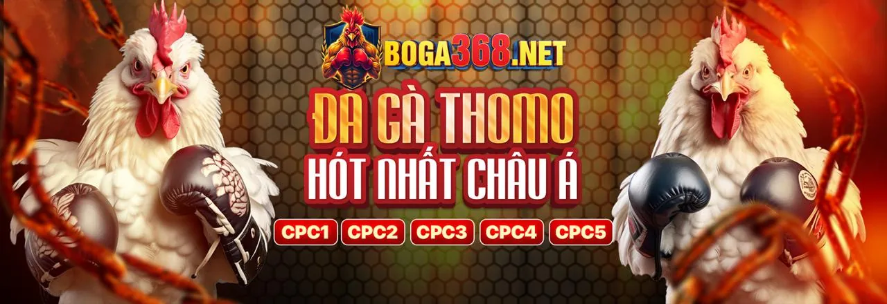 Đá Gà Trực Tuyến okviplive